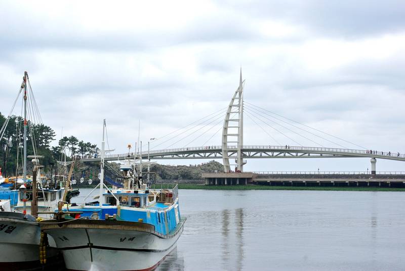 서귀포항에서 본 새연교와 새섬, 항구의 어선